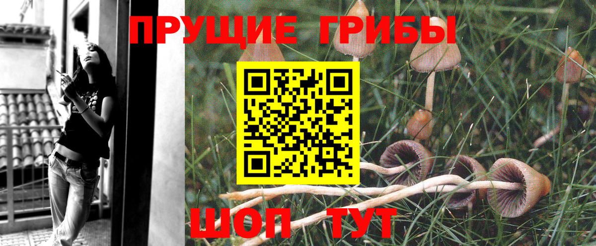 Галлюциногенные грибы Magic Shrooms Урай
