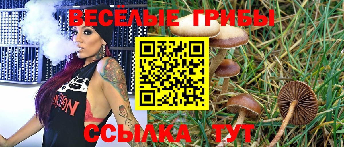 Урай  где можно купить   Вход с VPN  Псилоцибиновые грибы MAGIC MUSHROOMS 